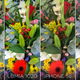 Illustration for article titled Nexus 5 Camera Battle: Welcome to Photography, Google